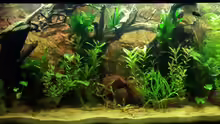 Aquarium Juwel Rio 400