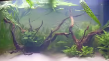 Aquarium Juwel Vision 180