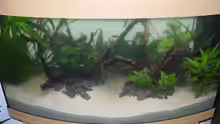 Aquarium Juwel Vision 180