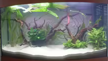 Aquarium Juwel Vision 180