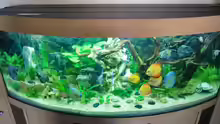 Aquarium Juwel Vision 450