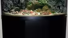 Aquarium-Komplettansicht - März 2015