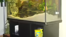 Aquarium Komplettansicht