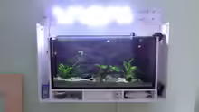 Aquarium Küchen Flatscreen Wandaquarium aufgelöst