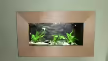 Aquarium Küchen Flatscreen Wandaquarium aufgelöst