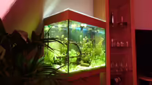 Aquarium Lido 120