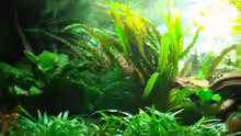 Aquarium linke Seite
