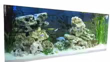 Aquarium MALAWI 240 (2006-2008)