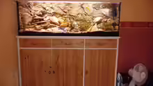 Aquarium Malawi XX351XX - wurde aufgeloest