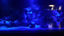 Aquarium Malawi