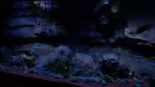 Aquarium Malawitraum ( Umdekoriert )