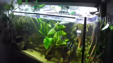 Aquarium Mein Großes