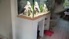 Aquarium Meins