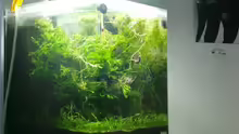 Aquarium Mikrokosmos 1.0