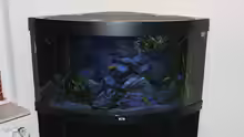 Aquarium nach Umbau 3.2.2015