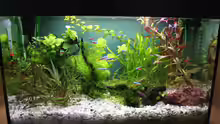 Aquarium nach Umgestaltung July 2011