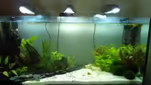 Aquarium nano 30l--96l