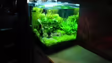 Aquarium Nano Cube 60 Liter