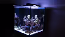 Aquarium Nano High Tower