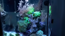 Aquarium Nano High Tower