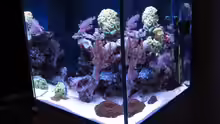 Aquarium Nano High Tower