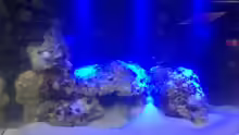 Aquarium Nano Projekt Firma