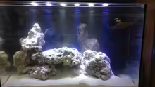 Aquarium Nano Projekt Firma