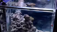Aquarium NanoReef