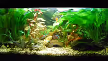 Aquarium Neonpower XD