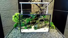 Aquarium NEW WAY