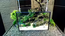 Aquarium NEW WAY
