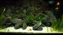 Aquarium Peter´s bunte Kiste
