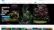 aquarium-pflanzen-fische.de