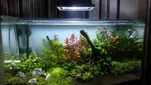 Aquarium Red/Blue/Green