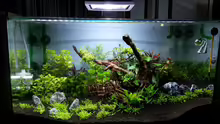 Aquarium Red/Blue/Green