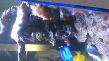 Aquarium Riffkanten cube