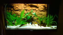 Aquarium rio 125