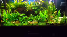 Aquarium Rio 300