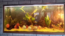 Aquarium Río Marañón