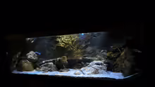 Aquarium Rockzolid Cave (Aufgelöst)