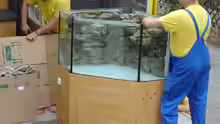 Aquarium-Schleppen von Starnberg nach Altertheim