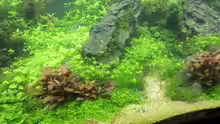 Aquarium schwäbische Alb