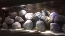 Aquarium Stone biotope of Mbunas