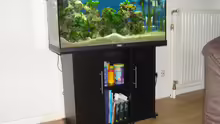 Aquarium Tanganjika 200L