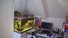 Aquarium Tanganjika Becken