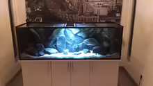 Aquarium Tank 2 NonMbuna