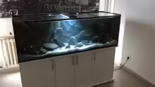 Aquarium Tank 2 NonMbuna