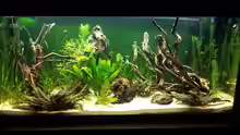Aquarium The Gift