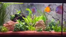 Aquarium Trigon 360