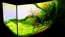 Aquarium Trueby